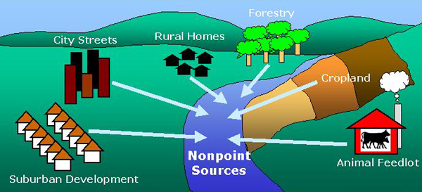 5 8 pollution non point source pollution diagram South Carolina 